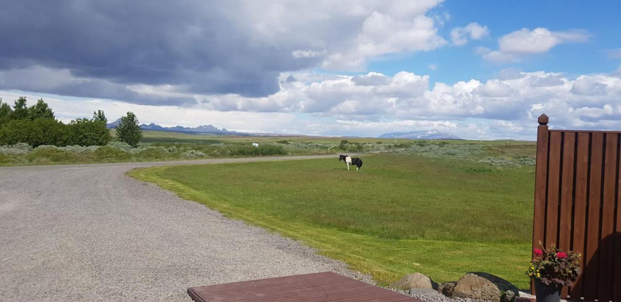 Skalinn Between Gullfoss And Geysir - Myrkholt Farm Haukadalur Exteriér fotografie